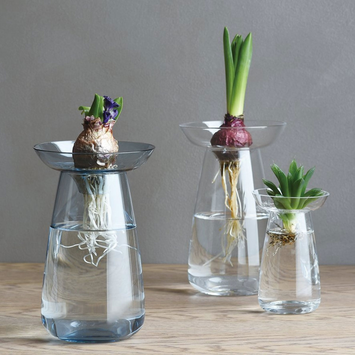 KINTO Vase AQUA CULTURE Grand – Image 2