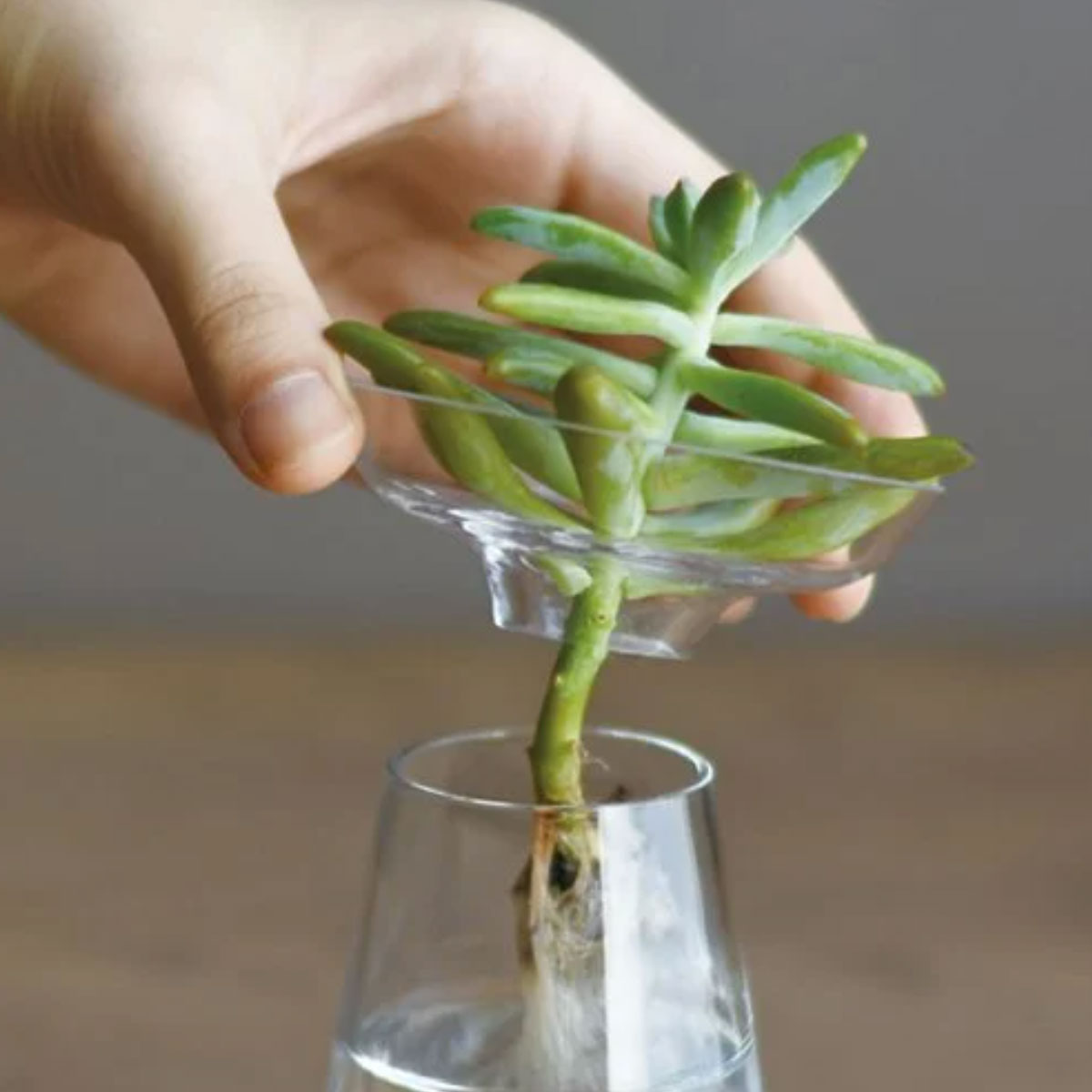 KINTO Vase AQUA CULTURE petit – Image 2